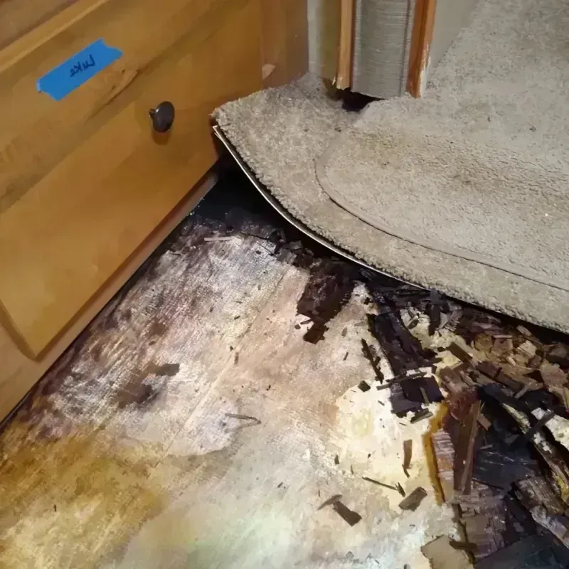 Wood Floor Water Damage in Salem, OR